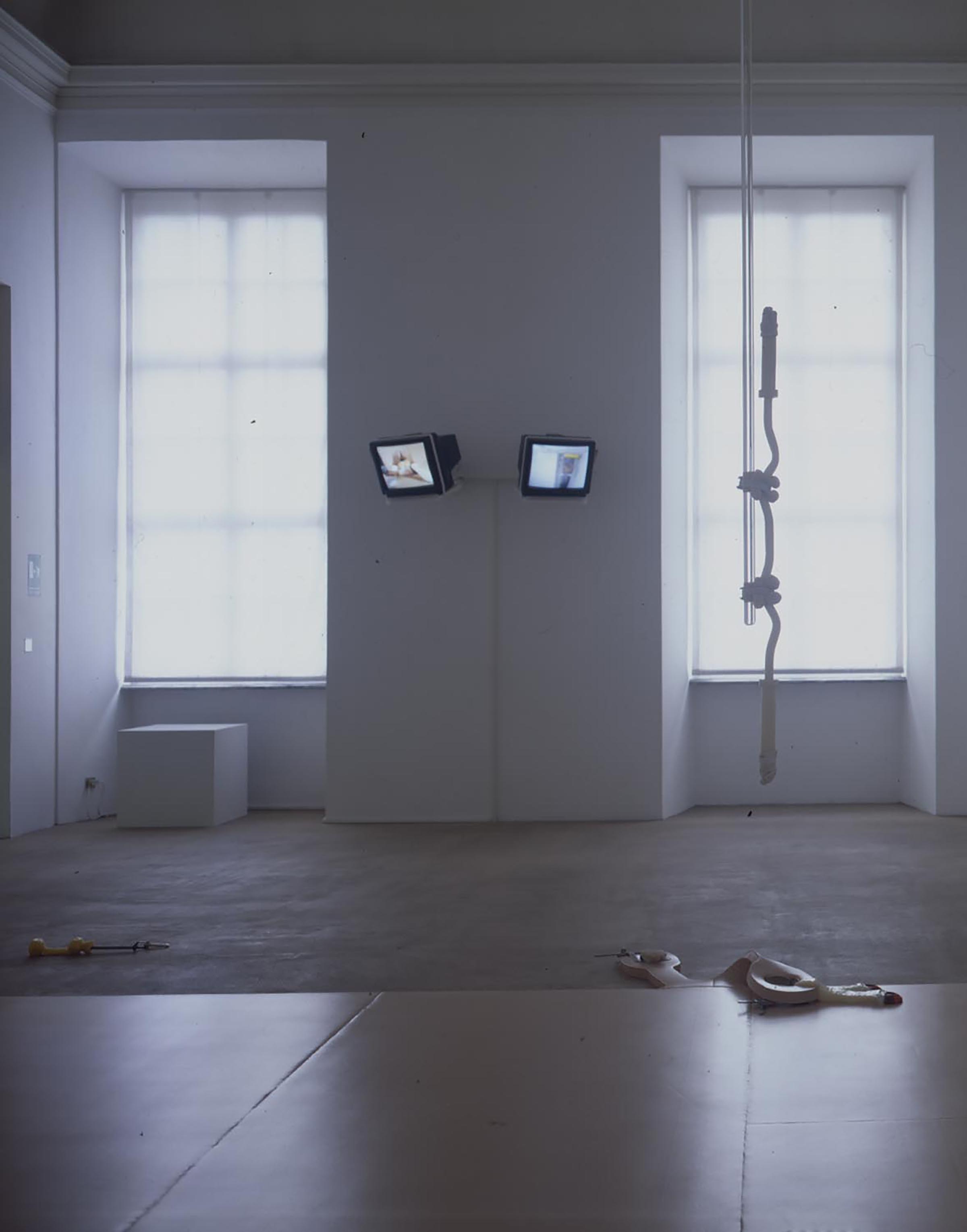 Matthew Barney, Repressia  (Decline), 1991